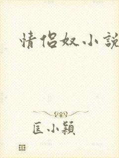 情侣奴小说