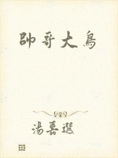 帅哥大鸟