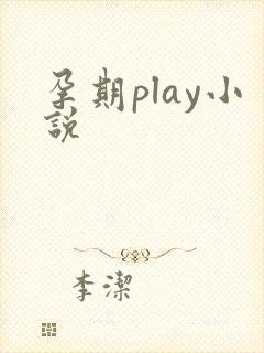 孕期play小说