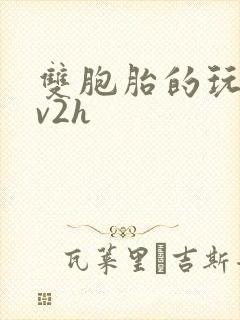双胞胎的玩具1v2h
