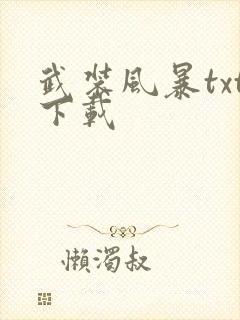 武装风暴txt下载封面