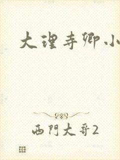 大理寺卿小说
