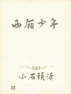 西厢少年封面