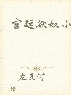 宫廷欲奴小说