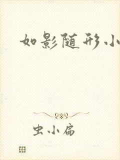 如影随形小说