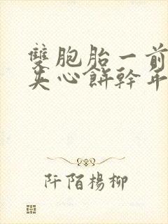 双胞胎一前一后夹心饼干年下