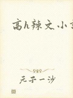 高h辣文小说