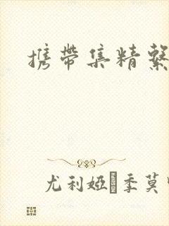 携带集精系统