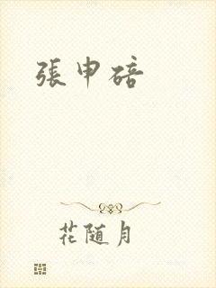 张申碚