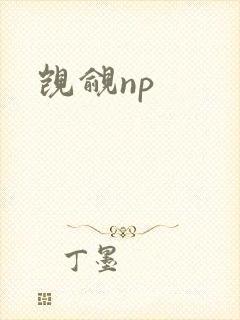 觊觎np