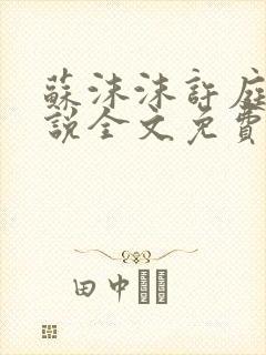 苏沫沫许庭川小说全文免费阅读