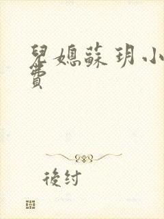 儿媳苏玥小说免费封面