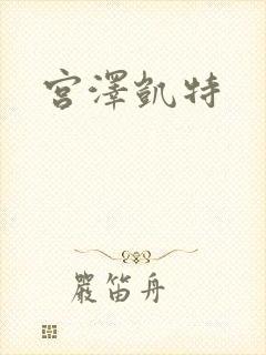 宫泽凯特封面