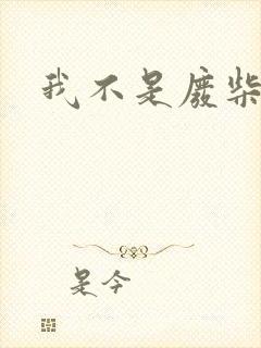 我不是废柴