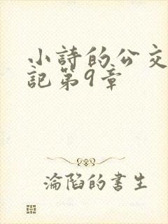 小诗的公交车日记第9章封面