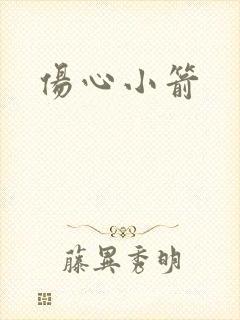伤心小箭封面