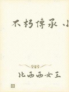 不朽传承 小说