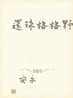 还珠格格野传封面
