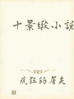 十景缎小说