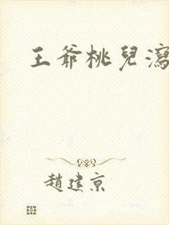 王爷桃儿泻了封面