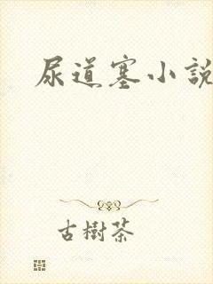 尿道塞小说封面