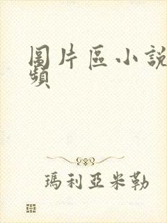 图片区小说区视频