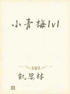 小青梅1v1