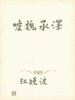 嘘魏承泽封面