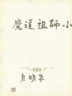 魔道祖师小说