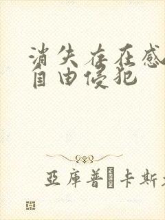 消失存在感消失自由侵犯封面