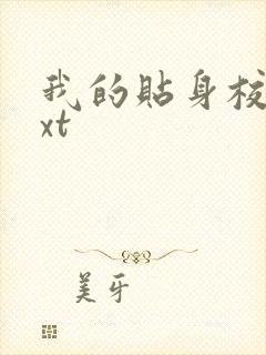 我的贴身校花txt封面