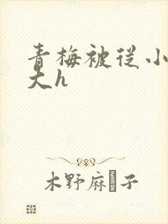 青梅被从小摸到大h