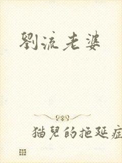 刘流老婆