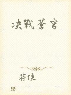决战苍穹封面
