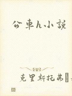 公车h小说