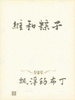 维和粽子