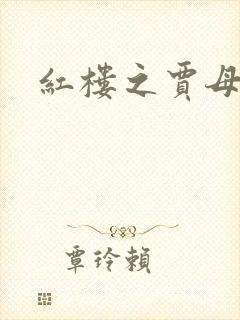 红楼之贾母