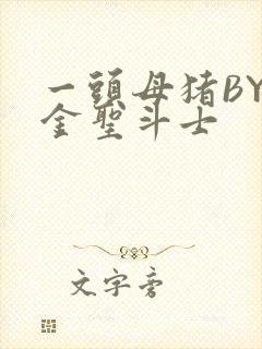 一头母猪BY黄金圣斗士封面