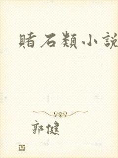 赌石类小说