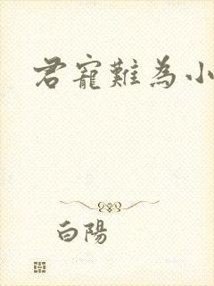 君宠难为小说