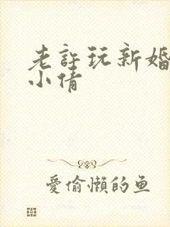老许玩新婚少妇小倩