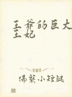 王爷的巨大进入王妃封面