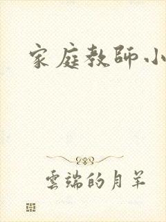 家庭教师小说封面