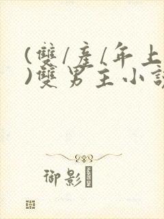 (双/产/年上)双男主小说