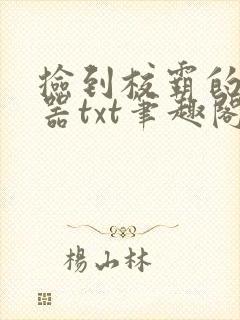 捡到校霸的遥控器txt笔趣阁