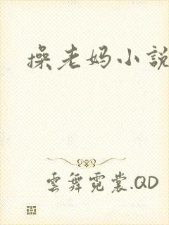 操老妈小说