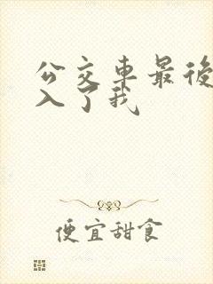 公交车最后一排入了我