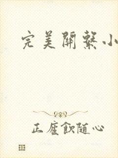完美关系小说