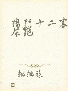 杨门十二寡妇肉床艳