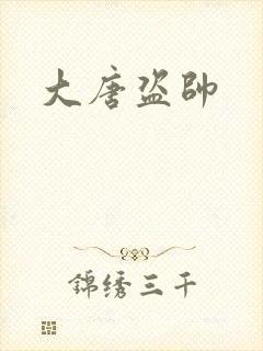 大唐盗帅